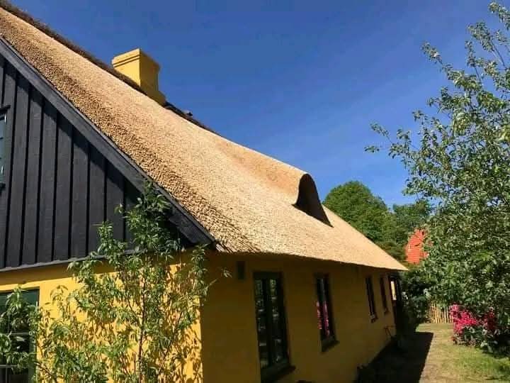Traditional Thatch Roof - Zebra Thatch